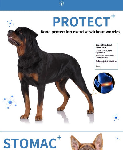 Alimento Militar para Perros de Entrenamiento - Fortalecedor Óseo y Muscular - Image 11