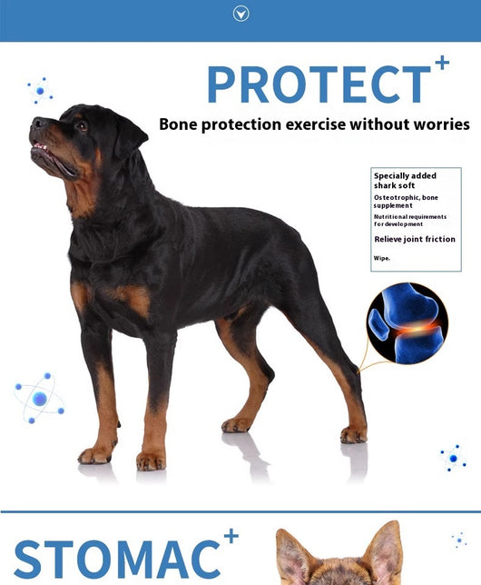Alimento Militar para Perros de Entrenamiento - Fortalecedor Óseo y Muscular - Image 11