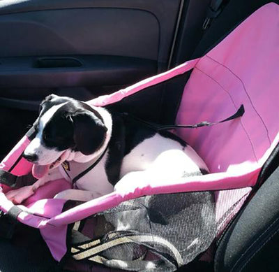 Asiento Transportín Impermeable para Perros - Viajes Largos - Image 14