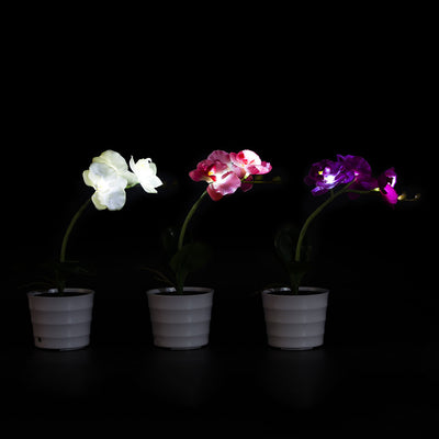 Lámpara Solar Orquídea con Mariposas Decorativas - Image 10