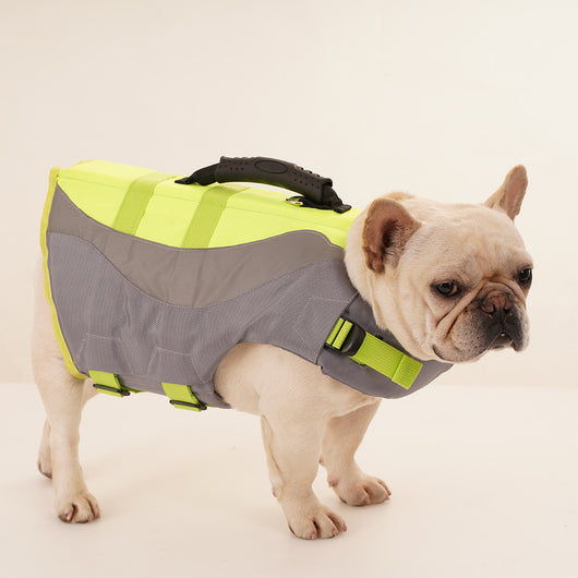 Chaleco Salvavidas Reflectante para Perros con Diseño de Traje de Baño - Image 3