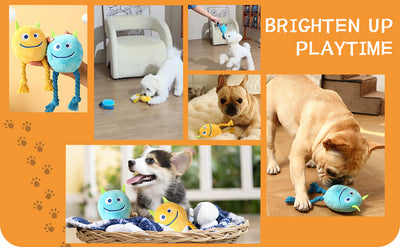 Juguetes para Perros Pequeños - Juegos Interactivos de Cuerda y Peluche con Sonido - Image 10