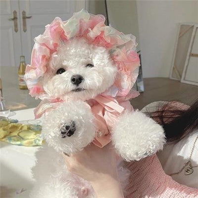 Falda de Malla para Bichón Frisé - Diseño Teddy - Image 6