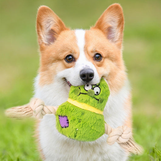 Juguete Interactivo de Cuerda para Perros - Resistente a Mordidas y Juego de Tracción - Image 12