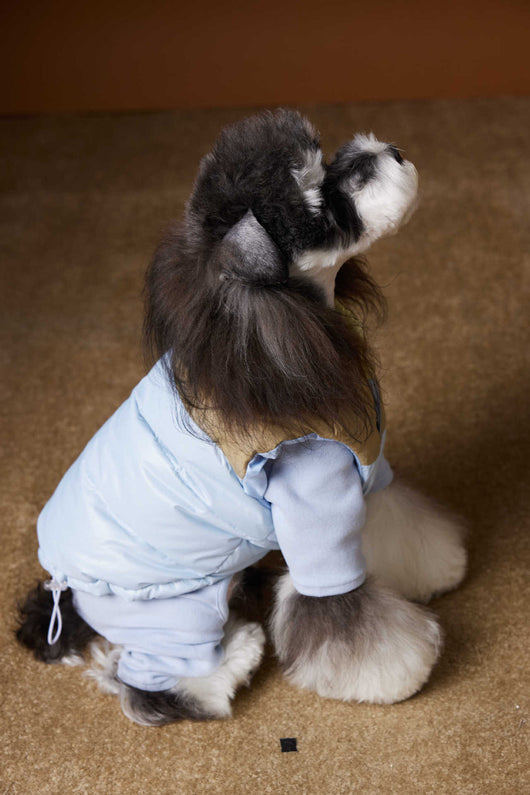 Chaleco Acolchado de Invierno para Perros Pequeños - Teddy, Schnauzer, Bichón - Image 16