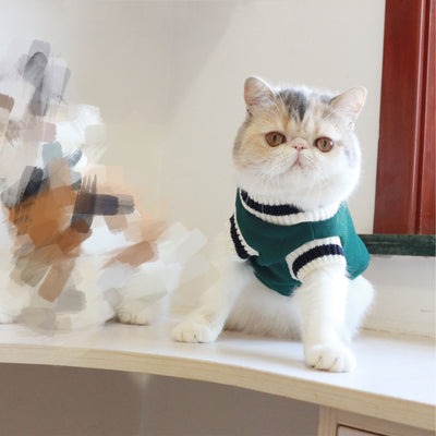 Chaleco de Punto sin Mangas Estilo Universidad Americana para Gatos - Image 6