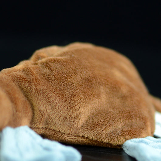Peluche Ornitorrinco Adorable para Niños - Image 11