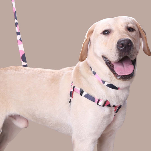 Pink, black, and white patterned polyester dog leash with a silver metal swivel snap hook, coiled on a white background. - Image 2