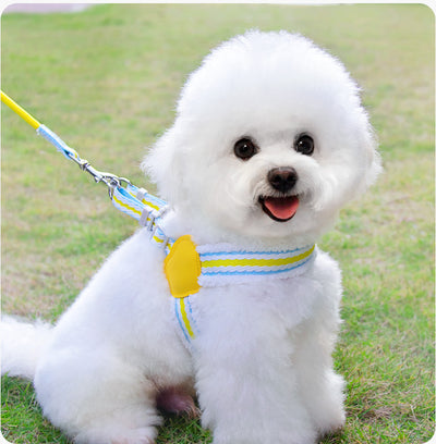 Arnés Respirador para Perros Pequeños y Medianos - Chaleco Cómodo para Paseos de Verano - Image 24