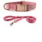 Rosa Collar Y Correa De Tracción XS