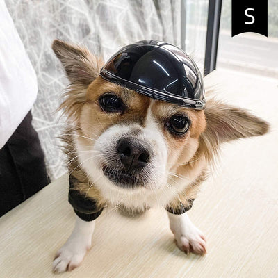 Black pet helmet with an adjustable chin strap and a pair of black pet goggles with an elastic strap. - Image 11