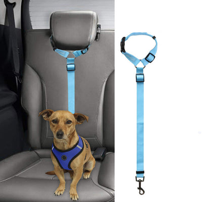 Correa de Seguridad para Mascotas en Auto - Image 12