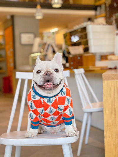 Suéter Abrigador para Perros y Gatos - Diseño Pug Shiba Inu para Invierno - Image 21