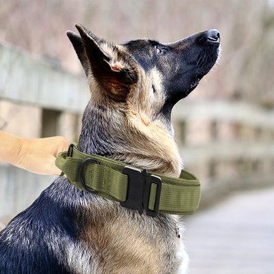 Collar de Nylon para Perros Medianos y Grandes - Image 8