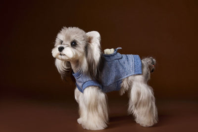 Suéter sin Mangas para Perro Bichón Maltés con Cabeza de Oso 3D - Image 13