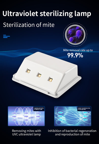 Lámpara UV Recargable de Desinfección y Esterilización Portátil con Ozono - Image 10