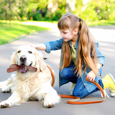 Juguete Resistente de Nylon para Perros - Diversión Duradera - Image 42