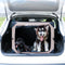 Caseta Portátil Plegable para Mascotas