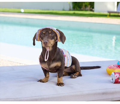Bolsa de Viaje con Sombrero Tejido para Perros Pequeños - Estilo Vacacional - Image 10