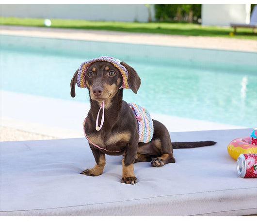 Bolsa de Viaje con Sombrero Tejido para Perros Pequeños - Estilo Vacacional - Image 10