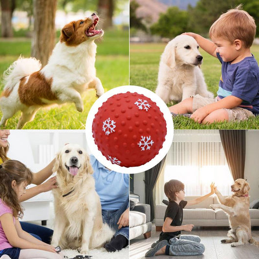Juguetes Interactivos para Perros y Gatos - Pelotas Resistentes para Limpiar Dientes - Image 6