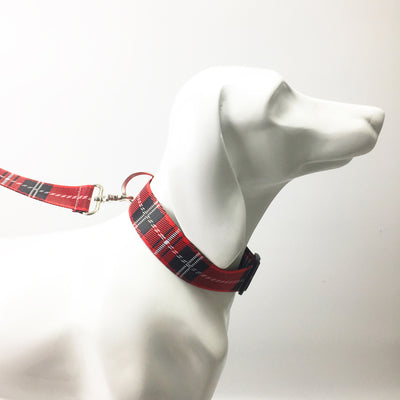 Collar y Correa para Perro Estampado Cuadros - Image 9
