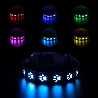 Collar LED Luminoso 7 Colores para Perros y Gatos con Carga USB - Image 10