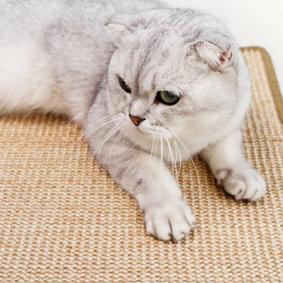 Protector de Sofá con Tabla Rascadora de Sisal para Gatos - Image 8