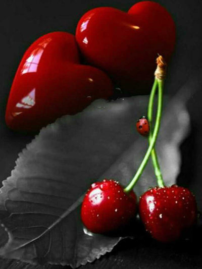Cuadro de Diamantes Rosa Roja con Café - Pintura Diamante DIY Cuadrado Completo - Image 10