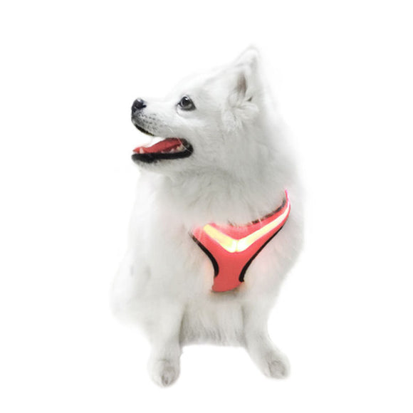 Arnés LED Iluminado para Perros con Carga USB