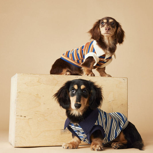 Polo sin Mangas a Rayas para Perros - Chaleco Elegante y Cómodo - Image 2