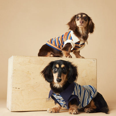 Polo sin Mangas a Rayas para Perros - Chaleco Elegante y Cómodo - Image 2
