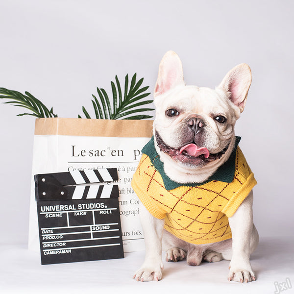 Ropa para Perros