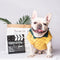 Ropa para Perros