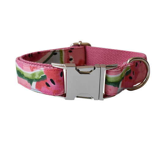 Collar y Correa para Perros - Control Seguro y Cómodo - Image 8