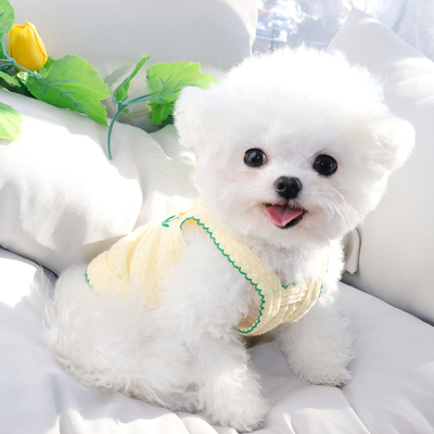 Ropa Premium VIP Teddy Bomei para Gatos y Perros Pequeños - Image 10