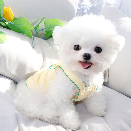 Ropa Premium VIP Teddy Bomei para Gatos y Perros Pequeños - Image 10