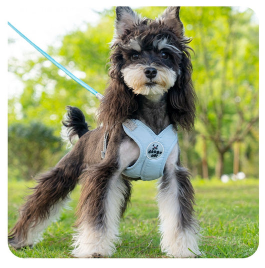 Arnés de Paseo con Correa de Mano para Mascotas - Image 20