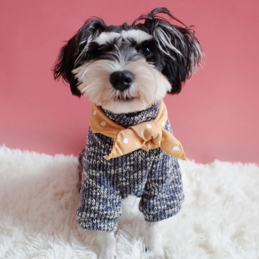 Pañuelo Térmico para Perros Pequeños - Abrigo Elegante para Invierno - Image 19