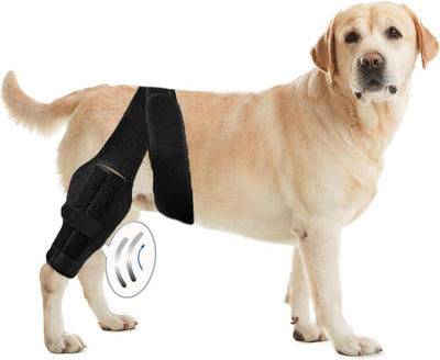 Black pet leg brace for dog injury assistance and rehabilitation, featuring adjustable straps and a supportive design. - Image 15