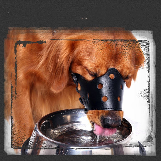 Bozal Ajustable Antimordia para Perros Pequeños - Image 13