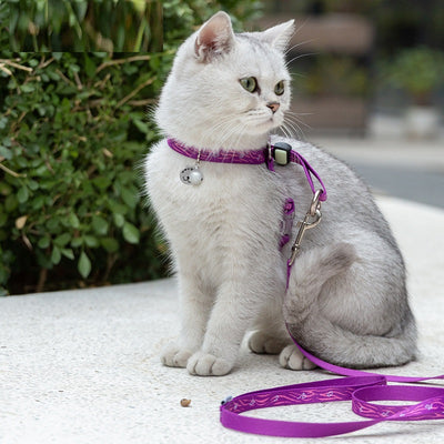 Arnés con Campana y Correa para Gato, Perro Pequeño y Teddy - Image 7