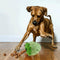 Juguete Interactivo Pelota Dispensadora de Comida Sabor Fresa - Resistente para Perros y Gatos