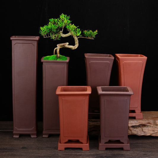 Macetas de Orquídea Cerámica Zisha Elegantes para Interior