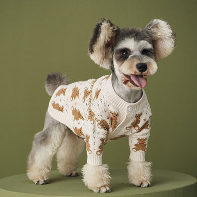 Abrigo VIP para Pomerania Dischnarui - Diseño Adorable para Mascotas