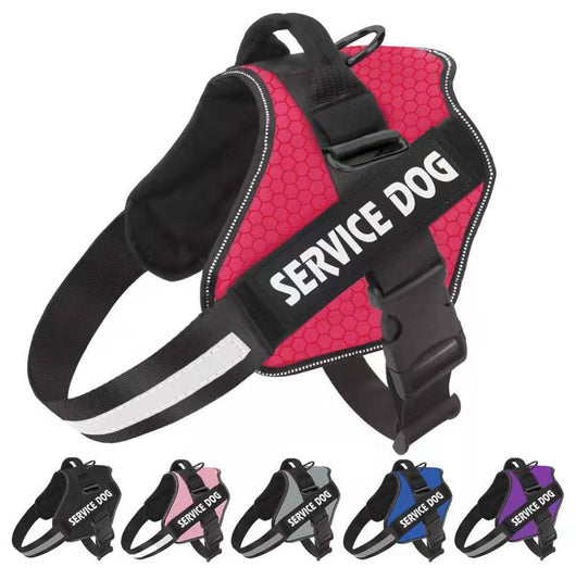 Arnés de Pecho Fashion para Perro con Correa Integrada - Image 11