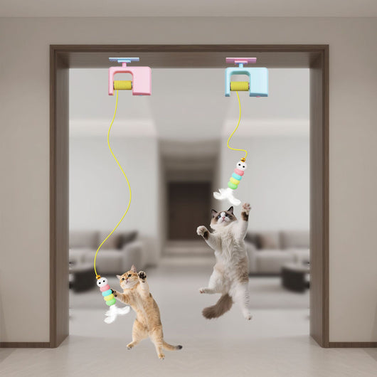 Electric pet cat toy with a blue hanging mechanism, yellow yo-yo string, and a colorful feathered lure. - Image 4