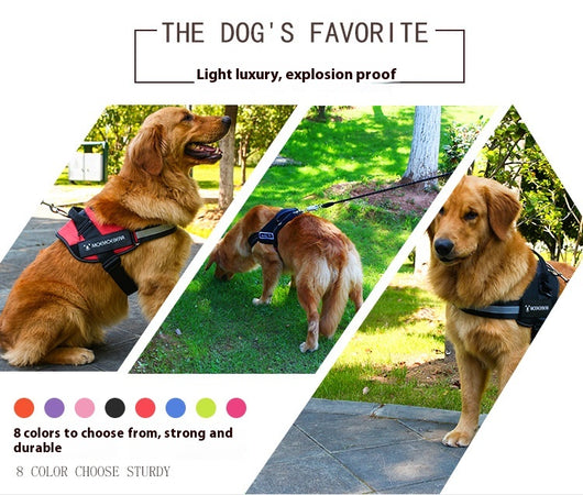 Arnés Pectoral para Perros de Tela Oxford - Image 15