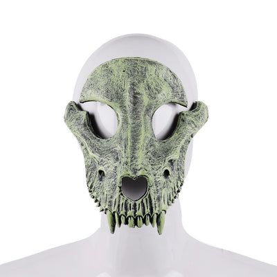 Calavera de Hueso de Oveja para Decoración - Image 6