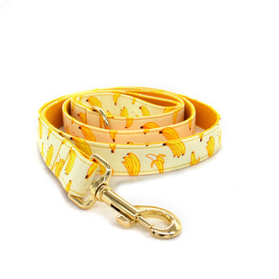 Collar de Cuerda para Mascotas con Hebilla de Metal Dorada - Image 11
